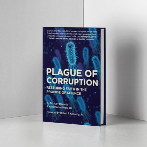 plagueofcorruption-book